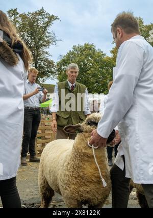 Juge inspectant un mouton tandis que ses propriétaires, vêtus de manteaux blancs, regardent à Masham Sheep Fair. North Yorkshire, Royaume-Uni Banque D'Images