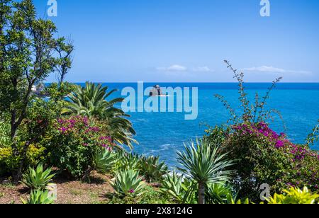 Madère le long de la promenade balnéaire de Funchal vue sur la côte, baignée par l'océan Atlantique et les plantes exotiques Banque D'Images