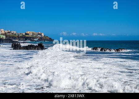 Madère le long de la promenade balnéaire de Funchal vue sur la côte, baignée par l'océan Atlantique et les plantes exotiques Banque D'Images