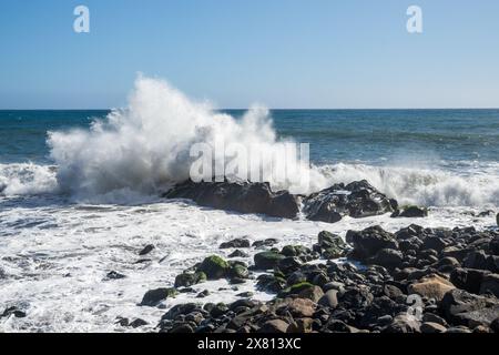 Madère le long de la promenade balnéaire de Funchal vue sur la côte, baignée par l'océan Atlantique et les plantes exotiques Banque D'Images