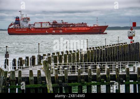 Le méthanier Coral Furcata, dans le Westerschelde, a quitté le port d'Anvers et se dirige vers le Royaume-Uni, jetée au port de Vlissingen, Zélande, N. Banque D'Images