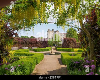 Le Laburnum arque Helmsley Walled Garden Banque D'Images