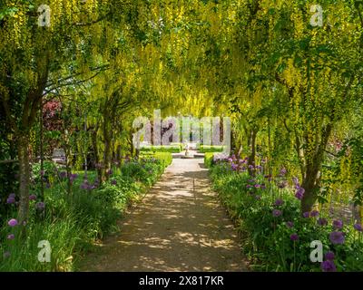 Le Laburnum arque Helmsley Walled Garden Banque D'Images