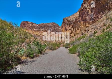 Gravier le long du Lower Burro Mesa Pouroff Trail dans le parc national de Big Bend, Texas. Banque D'Images