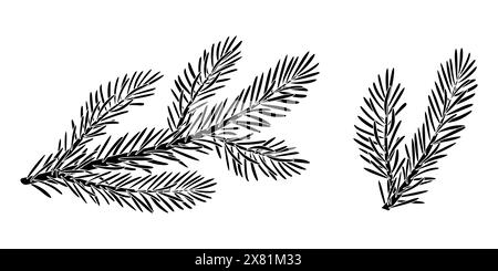 Ensemble silhouette de branche d'épicéa de Noël. Mélèze, PIN, branche d'épinette, arbre à feuilles persistantes, sapin, icône de vecteur, plantes d'hiver, bois de nouvel an, décoration de vacances. Illustration en noir et blanc dessinée à la main. Illustration de Vecteur