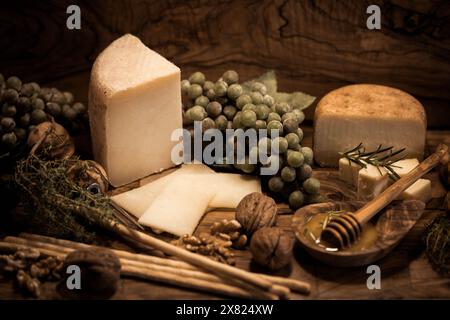 Variations de délicieux fromages sur une assiette Banque D'Images