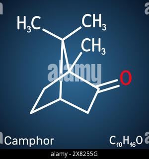 Molécule de camphre. C'est un terpénoïde et une cétone cyclique. Formule chimique structurale sur le fond bleu foncé Illustration de Vecteur