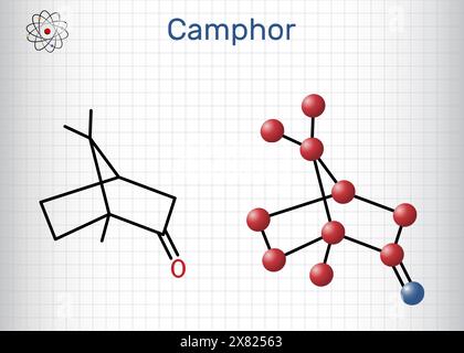 Molécule de camphre. C'est un terpénoïde et une cétone cyclique. Formule chimique structurale, modèle moléculaire. Feuille de papier dans une cage. Illustration de Vecteur