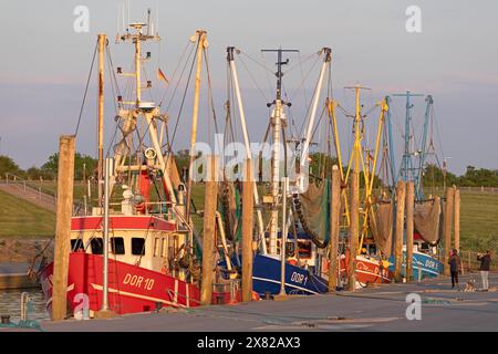 Coupe-crabes, port, Dorum-Neufeld, Wurster Land, basse-Saxe, Allemagne Banque D'Images