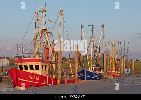 Coupe-crabes, port, Dorum-Neufeld, Wurster Land, basse-Saxe, Allemagne Banque D'Images