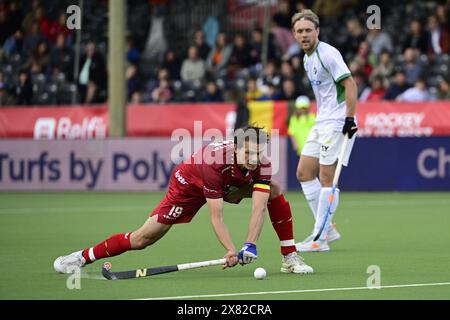 Anvers, Belgique. 22 mai 2024. Match de hockey entre l'équipe nationale belge des Red Lions et l'Irlande, match 5/16 en phase de groupes de la FIH Pro League 2024 masculine, mercredi 22 mai 2024, à Anvers. BELGA PHOTO DIRK WAEM crédit : Belga News Agency/Alamy Live News Banque D'Images