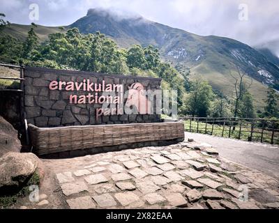 Collines de Kannan Devan, Kerala, inde - 18 mai 2024 : Parc national d'Eravikulam situé dans les collines de Kannan Devan. Il est situé dans le Devikulam Taluk de Banque D'Images