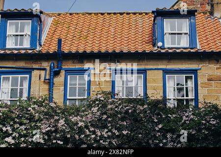 Une charmante maison en pierre avec un toit de tuiles rouges et des cadres de fenêtres bleus, partiellement couverte de fleurs en fleurs et de verdure. Banque D'Images