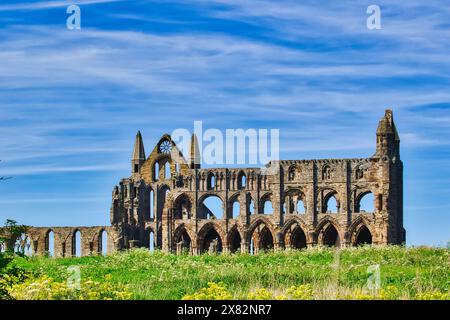 Ruines d'une ancienne abbaye à l'architecture gothique, posées contre un ciel bleu avec des nuages tortueux. La structure est entourée d'herbe verte et de Wildflowe Banque D'Images