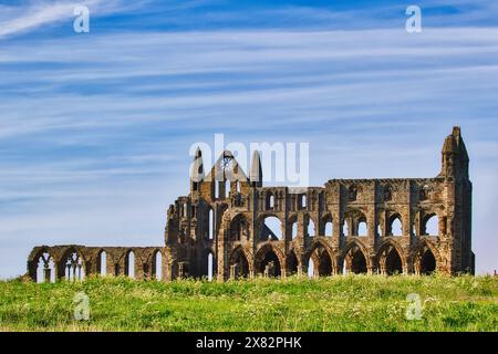 Ruines d'une ancienne abbaye avec des fenêtres et des murs voûtés, posées contre un ciel bleu avec des nuages tortueux, entourées d'herbe verte. Banque D'Images