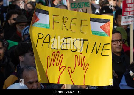 Londres, Royaume-Uni - 11 novembre 2023 : signe Free Palestine tenu par un manifestant lors du rassemblement pro-palestinien dans le centre de Londres, Royaume-Uni. Banque D'Images