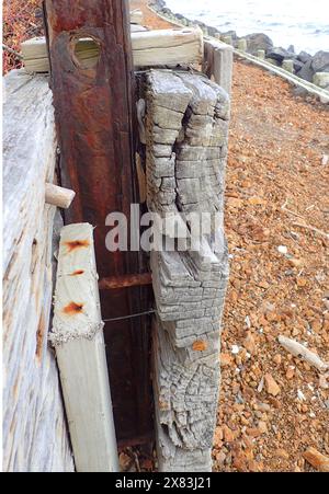 Un mélange de planches de bois forme un mur de mer brisé et optimiste juste au-dessus de la plage sur la côte de Kapiti Nouvelle-Zélande Banque D'Images