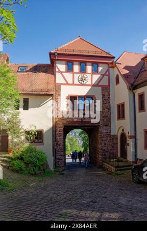 Tor Tor à la forteresse de montagne de Dilsberg, Dilsberg, ville de Neckargemuend, Bade-Wuertemberg, Allemagne Banque D'Images