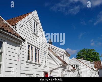 Maisons en bois blanc avec des toits de tuiles rouges et des fenêtres sous un ciel bleu clair le long d'une route, maisons en bois blanc dans un environnement verdoyant contre un bleu Banque D'Images