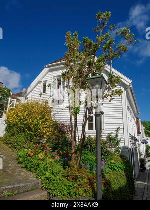 Une maison en bois blanc avec jardin, plantes à fleurs et lanterne sous un ciel bleu clair, maisons en bois blanc dans un environnement verdoyant contre un ciel bleu Banque D'Images