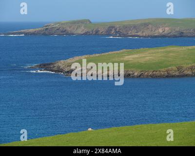 Paysage côtier vert avec mer bleue et rochers en arrière-plan, sous un ciel bleu vif, vue large sur une île verte avec de petites maisons, des ruines Banque D'Images
