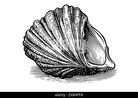 Coquille gravée dans le style dessiné à la main sur fond blanc. Esquisse vectorielle. Illustration de Vecteur