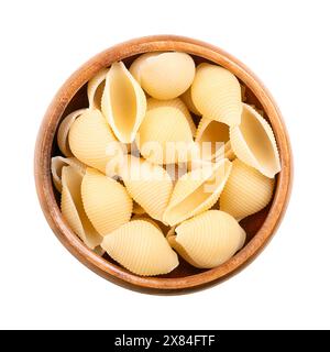 Conchiglie rigate, pâtes italiennes en forme de coquille et sillonnées dans un bol en bois. Pâtes alimentaires non cuites à la semoule de blé dur. Gros plan, vu d'en haut. Banque D'Images