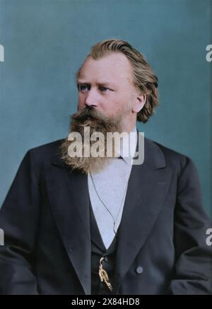 Johannes Brahms (1833-1897), compositeur allemand. Circa 1885. Par Fritz Luckhardt. Banque D'Images