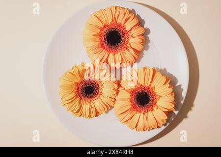 Fleurs de gerbera jaune dans une assiette ronde à la lumière du soleil. Vue de dessus Banque D'Images