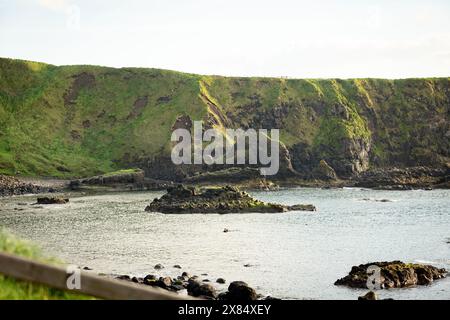 La formation Camel Rock sur la chaussée des géants sur la côte nord de l'Irlande du Nord Banque D'Images