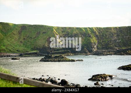 La formation Camel Rock sur la chaussée des géants sur la côte nord de l'Irlande du Nord Banque D'Images