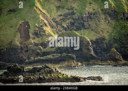 La formation Camel Rock sur la chaussée des géants sur la côte nord de l'Irlande du Nord Banque D'Images