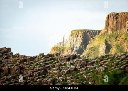 La formation Giant's Causeway Chimney Stacks Rock Banque D'Images