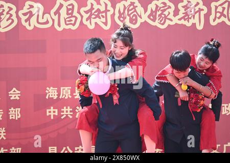 Yinchuan. 23 mai 2024. Wang LAN (2e l) et son mari (1er l) jouent à des jeux lors d'une cérémonie de mariage de groupe dans le comté de Haiyuan de la ville de Zhongwei, dans la région autonome de Ningxia hui, au nord-ouest de la Chine, le 20 mai 2024. POUR ALLER AVEC 'Across China : les jeunes couples chinois redéfinissent les mariages avec simplicité et joie' crédit : Xinhua/Alamy Live News Banque D'Images