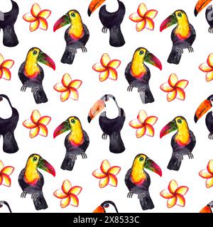 Modèle sans couture de la nature hyperréaliste de l'aquarelle des tropiques de l'Asie - toucans noirs et blancs et colorés et fleurs de plumeria sur un fond blanc Banque D'Images