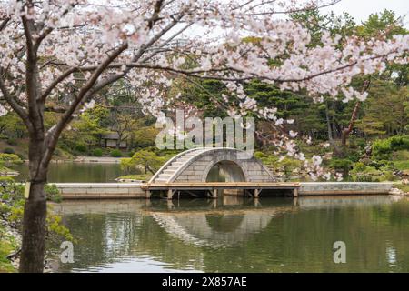 Pont Kokokyo (pont arc-en-ciel chevauchant) dans le jardin japonais Shukkei-en ou Shukkeien. Préfecture d'Hiroshima, Japon. Cerisier en pleine floraison. Banque D'Images