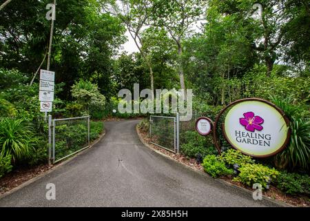 Signalisation du jardin de guérison et entrée aux jardins botaniques de Singapour. Banque D'Images