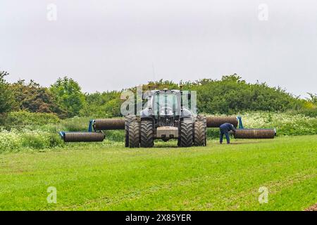 Deutz-Fahr 7250 TTV WARRIOR et Field Roller sur des terres agricoles au large de Loverose Way, Northampton, Angleterre, Royaume-Uni. Banque D'Images