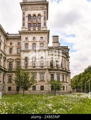 Londres, Royaume-Uni. 23 mai 2024. Les pelouses à l'extérieur du ministère des Affaires étrangères et du Trésor à Westminster ont été laissées pour devenir une belle prairie de fleurs sauvages pour les insectes et les pollinisateurs à profiter dans le temps partiellement ensoleillé d'aujourd'hui. De nombreux jardiniers ont laissé leur herbe pousser pour le « No Mow May » dans le cadre d'une campagne visant à protéger les pollinisateurs et à nourrir les pollinisateurs au début de la saison de floraison. Crédit : Imageplotter/Alamy Live News Banque D'Images