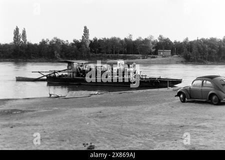 Fährbetrieb an einem französischen Fluss, möglicherweise dem Fluss Lez, der unter anderem durch Montpellier fließt, Frankreich 1957. Service de ferry sur une rivière française, peut-être la rivière Lez , qui traverse Montpellier entre autres villes, France 1957. Banque D'Images