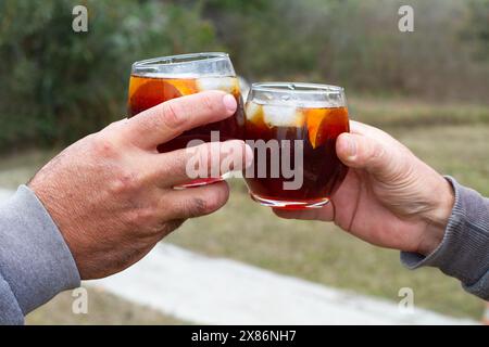 Hommes grillant avec deux verres de vermouth rouge dans le jardin Banque D'Images