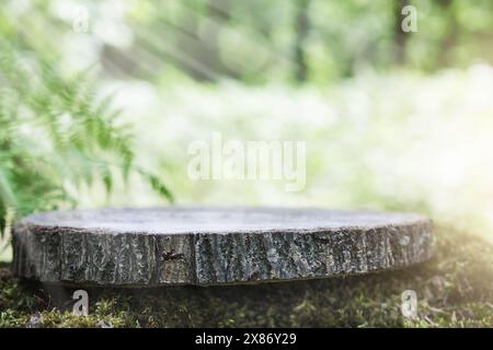 Souche de stand en bois vide dans la mousse avec des feuilles de fougères et des fleurs blanches dans un fond de forêt vert flou naturel extérieur. Contexte pour produit naturel Banque D'Images