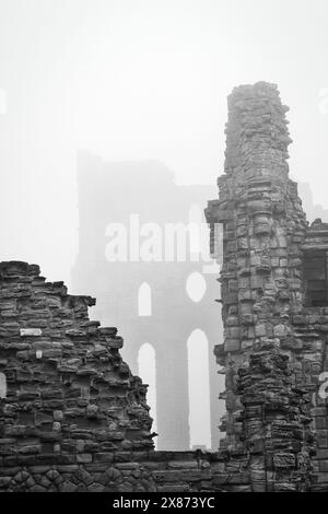 Photographie en noir et blanc d'anciennes ruines de pierre entourées de brouillard. L'image capture l'atmosphère étrange et mystérieuse des structures en décomposition. Banque D'Images
