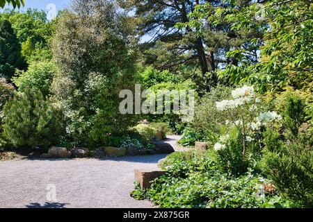 Un sentier de jardin serein entouré de verdure luxuriante, d'arbres et de fleurs en fleurs par une journée ensoleillée. Banque D'Images