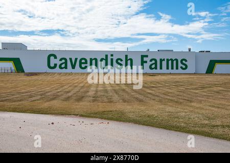 Cavendish Farms signe à Kensington, Île-du-Prince-Édouard, Canada Banque D'Images