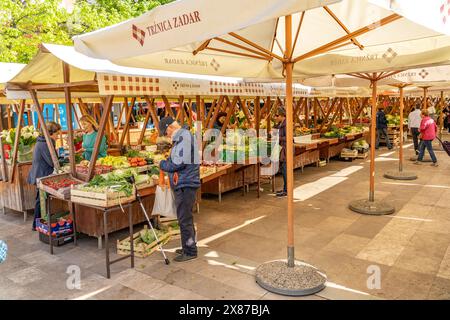 Stand mit Gemüse auf dem Markt von Zadar, Kroatien, Europa Banque D'Images