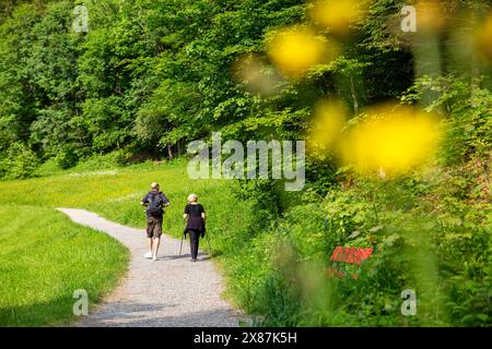 Femme senior avec homme randonnée ensemble sur le sentier de randonnée au milieu des plantes vertes et des arbres Banque D'Images