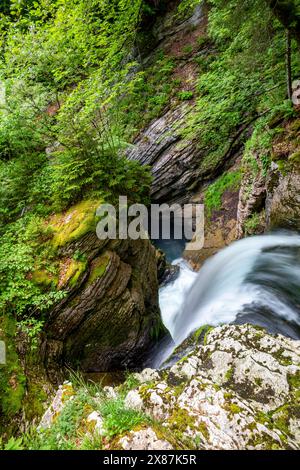 Cascade de la rivière Thur de formation rocheuse dans la forêt Banque D'Images