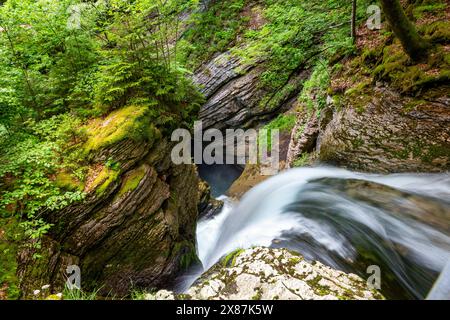 Cascade de Thur de formation rocheuse dans la forêt Banque D'Images