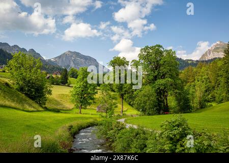 Ruisseau coulant à travers des plantes vertes et des arbres près de la chaîne de montagnes Banque D'Images